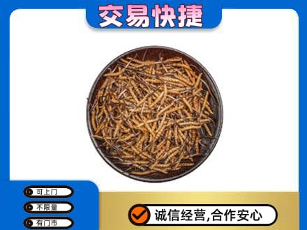 佳木斯东风区回收散虫草
